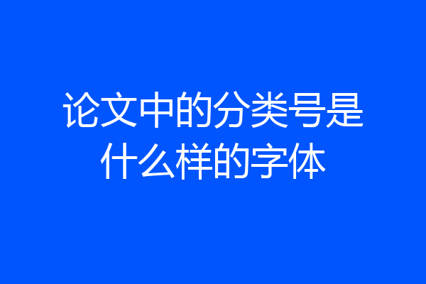论文中的分类号是什么样的字体