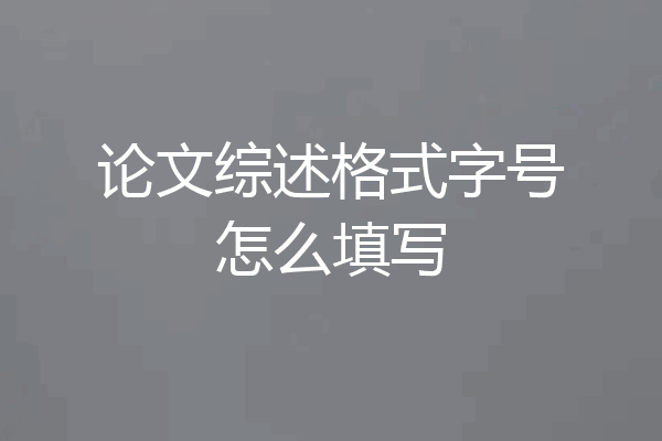 论文综述格式字号怎么填写
