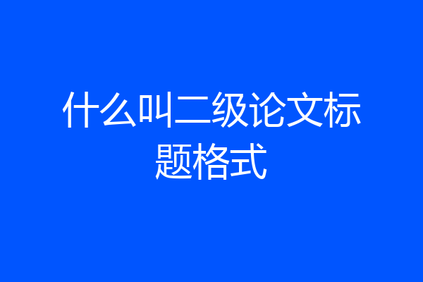 什么叫二级论文标题格式