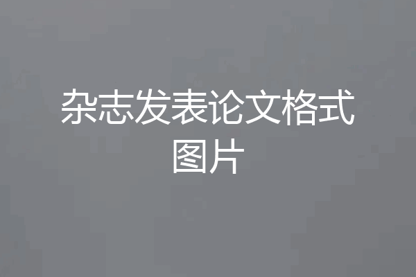 杂志发表论文格式图片