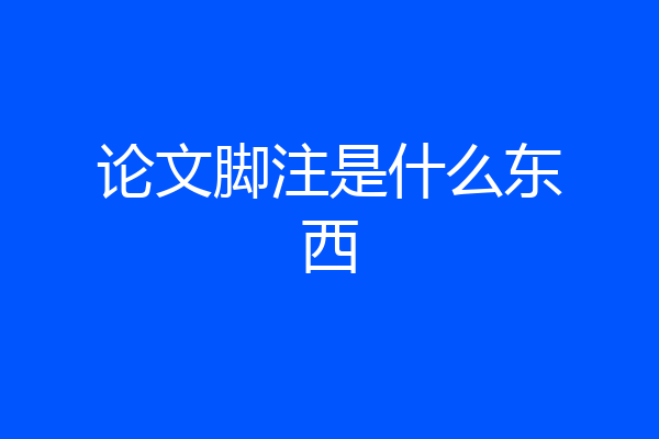 论文脚注是什么东西