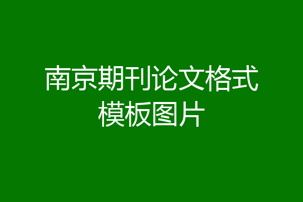 南京期刊论文格式模板图片