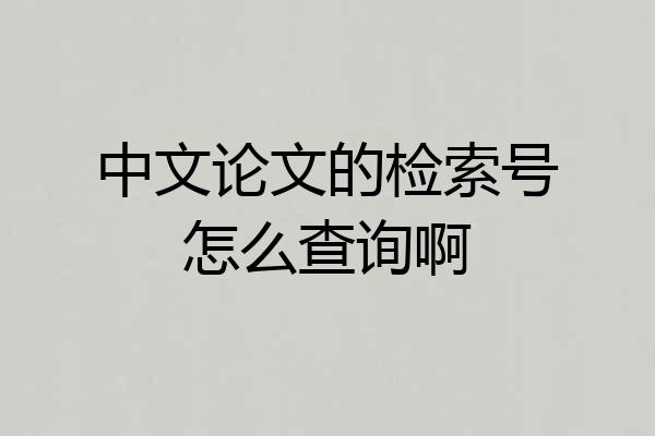 中文论文的检索号怎么查询啊