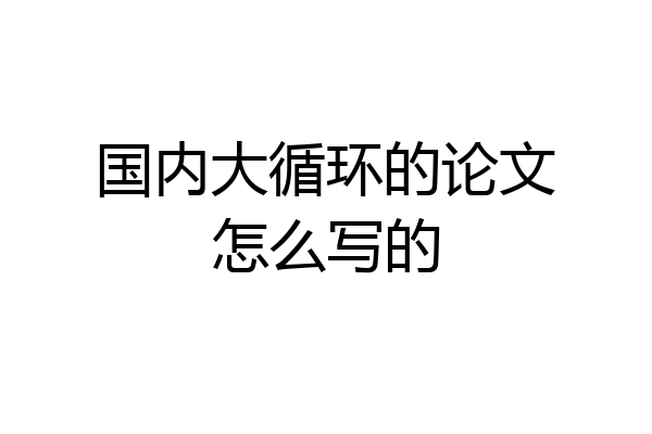 国内大循环的论文怎么写的