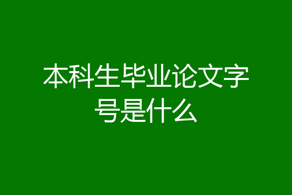 本科生毕业论文字号是什么