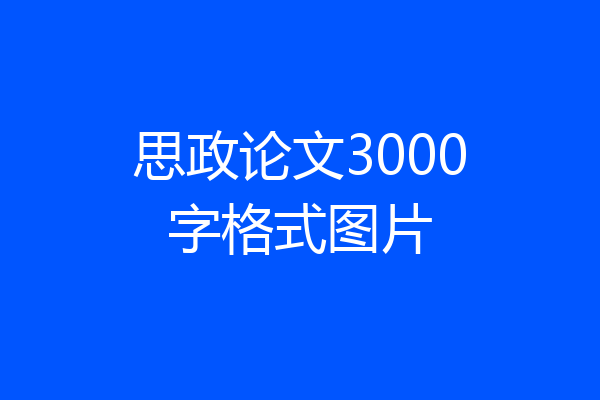 思政论文3000字格式图片