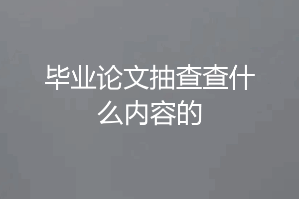 毕业论文抽查查什么内容的