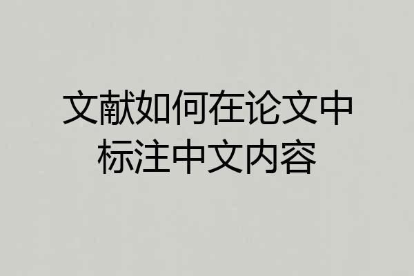 文献如何在论文中标注中文内容