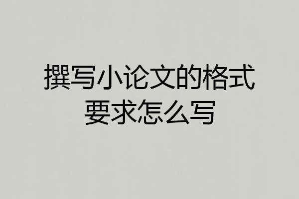撰写小论文的格式要求怎么写