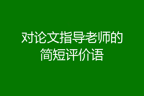 对论文指导老师的简短评价语