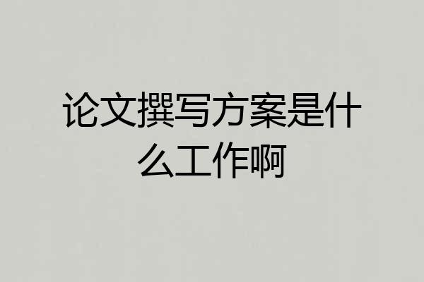 论文撰写方案是什么工作啊