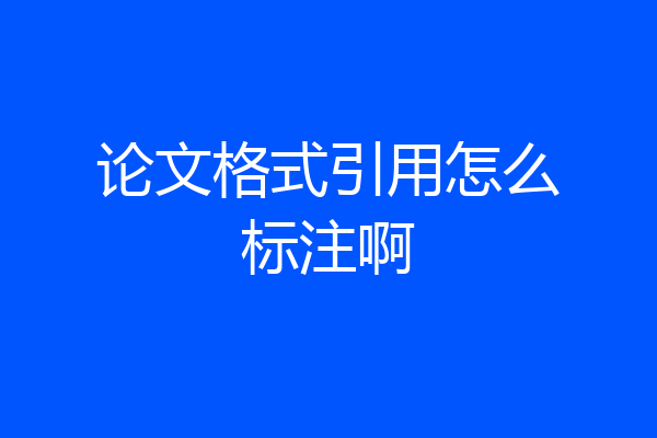 论文格式引用怎么标注啊