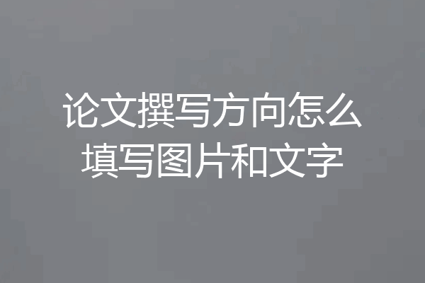 论文撰写方向怎么填写图片和文字