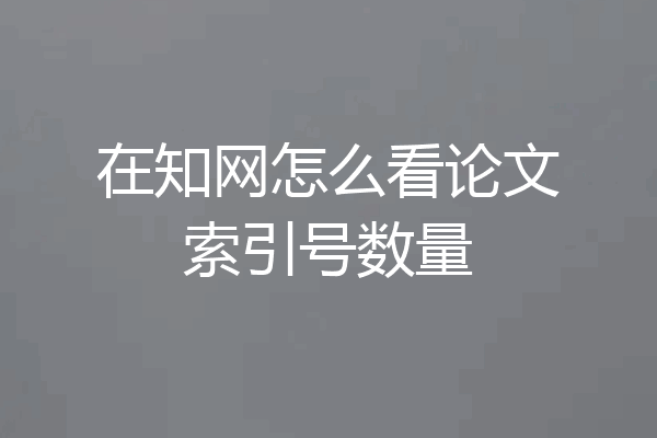 在知网怎么看论文索引号数量
