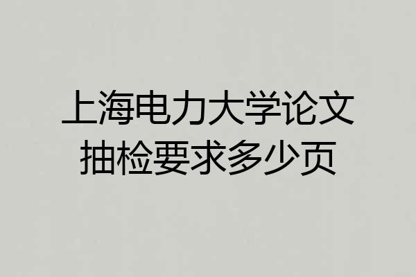 上海电力大学论文抽检要求多少页