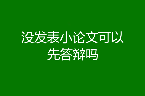 没发表小论文可以先答辩吗