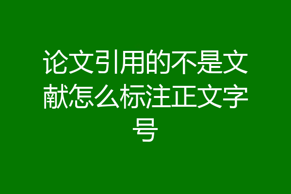 论文引用的不是文献怎么标注正文字号