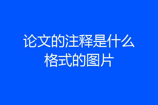 论文的注释是什么格式的图片