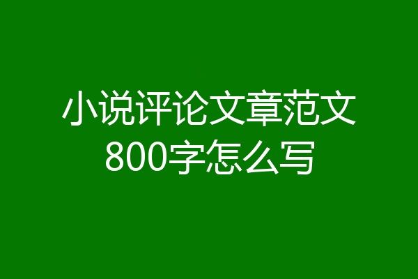 小说评论文章范文800字怎么写