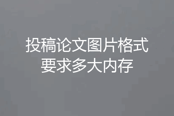 投稿论文图片格式要求多大内存
