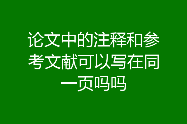 论文中的注释和参考文献可以写在同一页吗吗