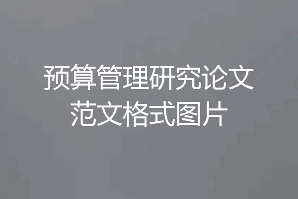 预算管理研究论文范文格式图片