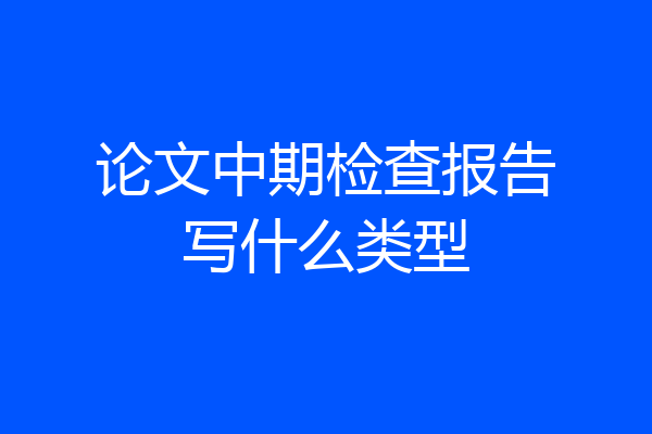 论文中期检查报告写什么类型