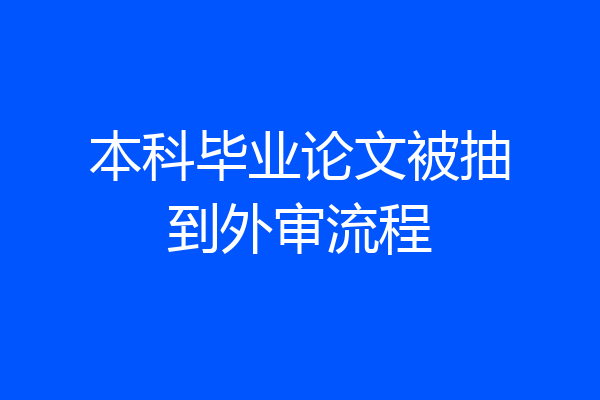 本科毕业论文被抽到外审流程