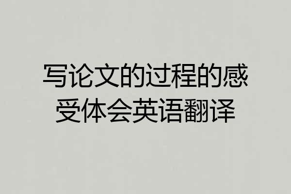写论文的过程的感受体会英语翻译