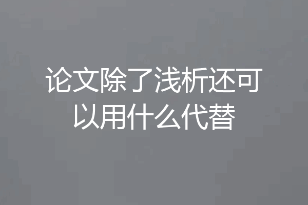 论文除了浅析还可以用什么代替