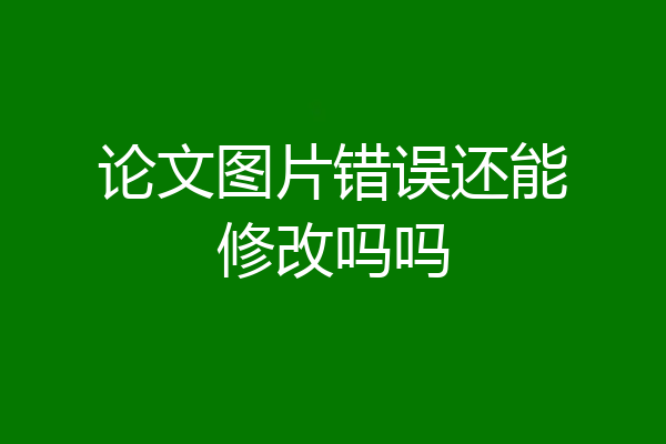 论文图片错误还能修改吗吗
