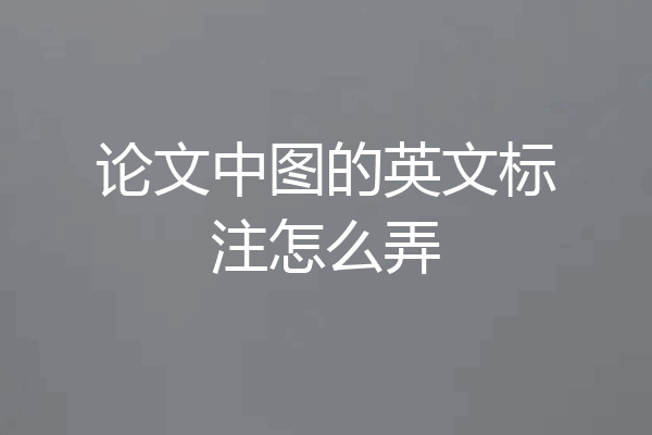 论文中图的英文标注怎么弄