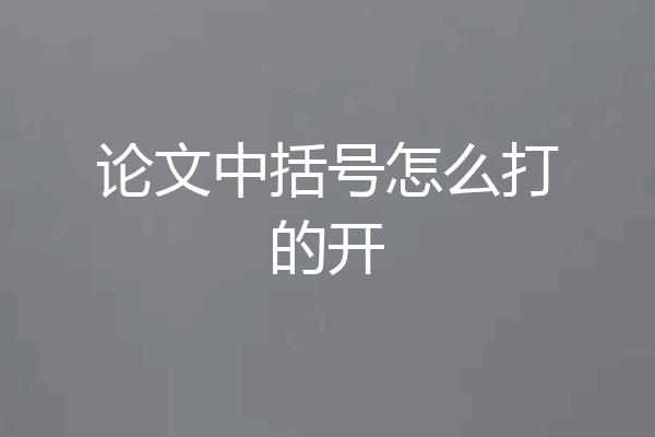 论文中括号怎么打的开