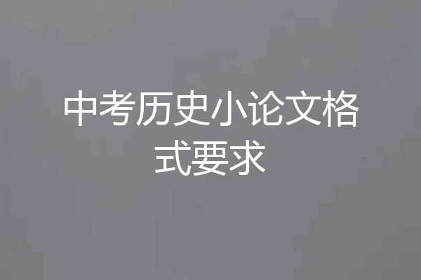 中考历史小论文格式要求