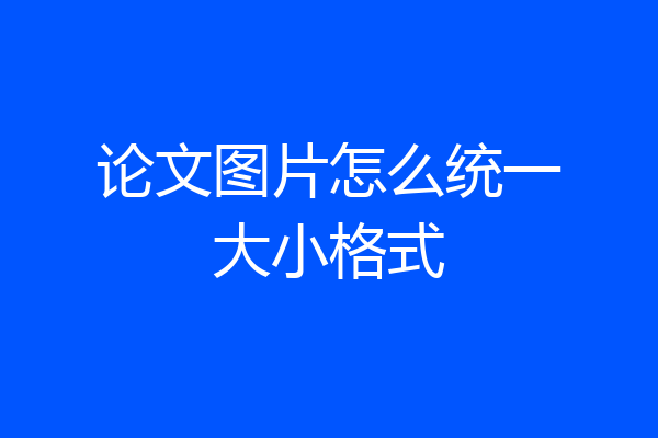 论文图片怎么统一大小格式