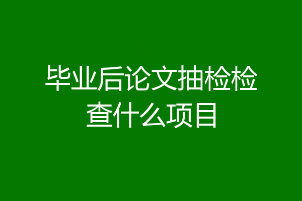 毕业后论文抽检检查什么项目