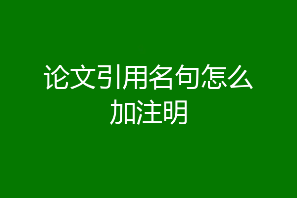 论文引用名句怎么加注明