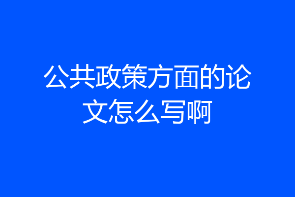 公共政策方面的论文怎么写啊