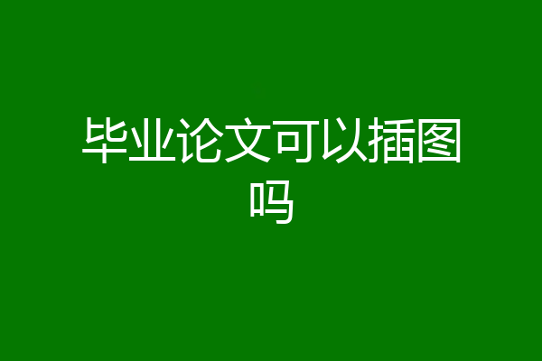 毕业论文可以插图吗