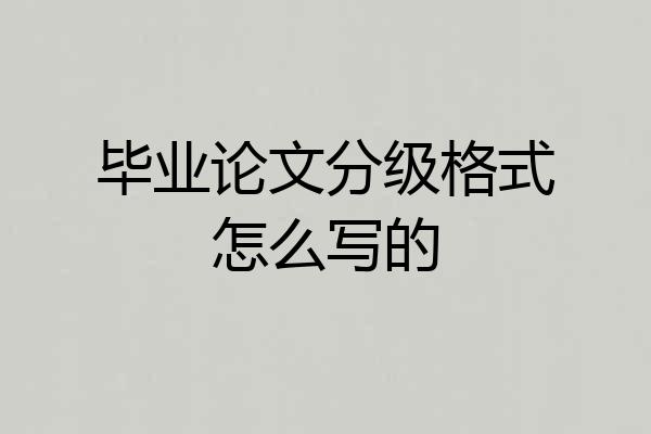 毕业论文分级格式怎么写的