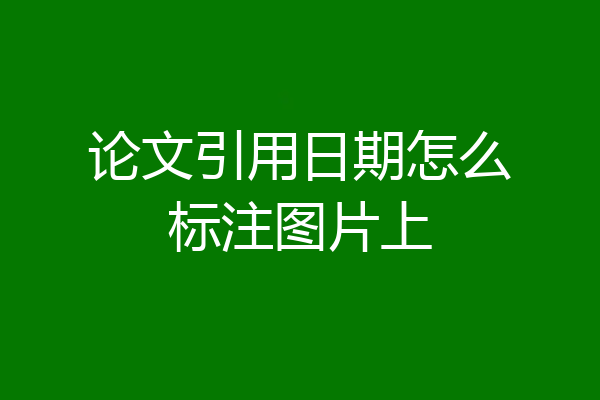 论文引用日期怎么标注图片上