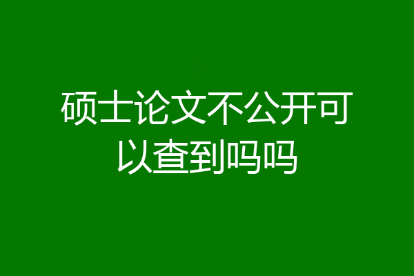 硕士论文不公开可以查到吗吗