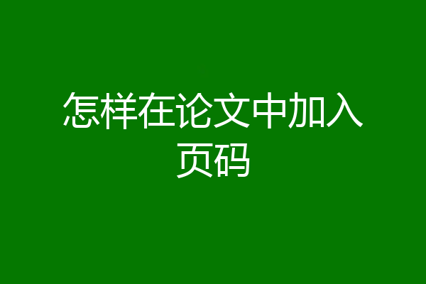 怎样在论文中加入页码