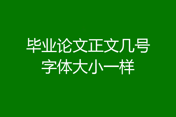 毕业论文正文几号字体大小一样