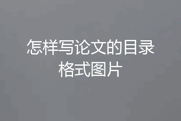 怎样写论文的目录格式图片