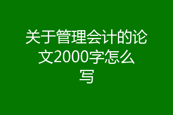 关于管理会计的论文2000字怎么写