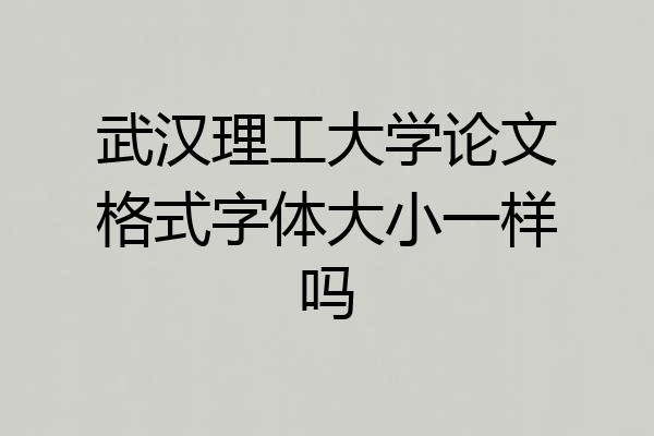 武汉理工大学论文格式字体大小一样吗