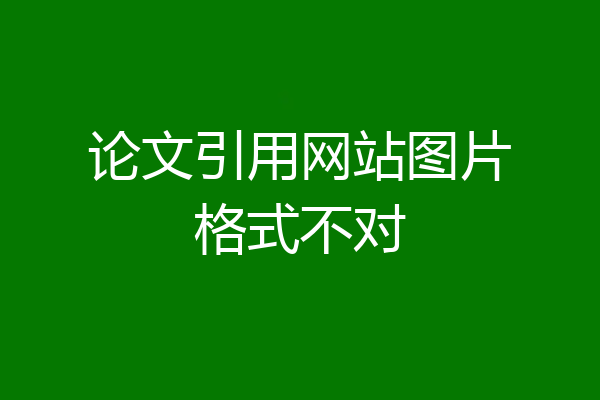 论文引用网站图片格式不对
