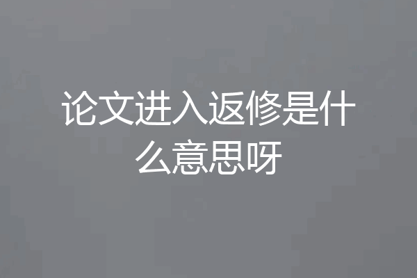 论文进入返修是什么意思呀