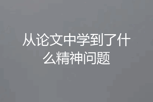 从论文中学到了什么精神问题